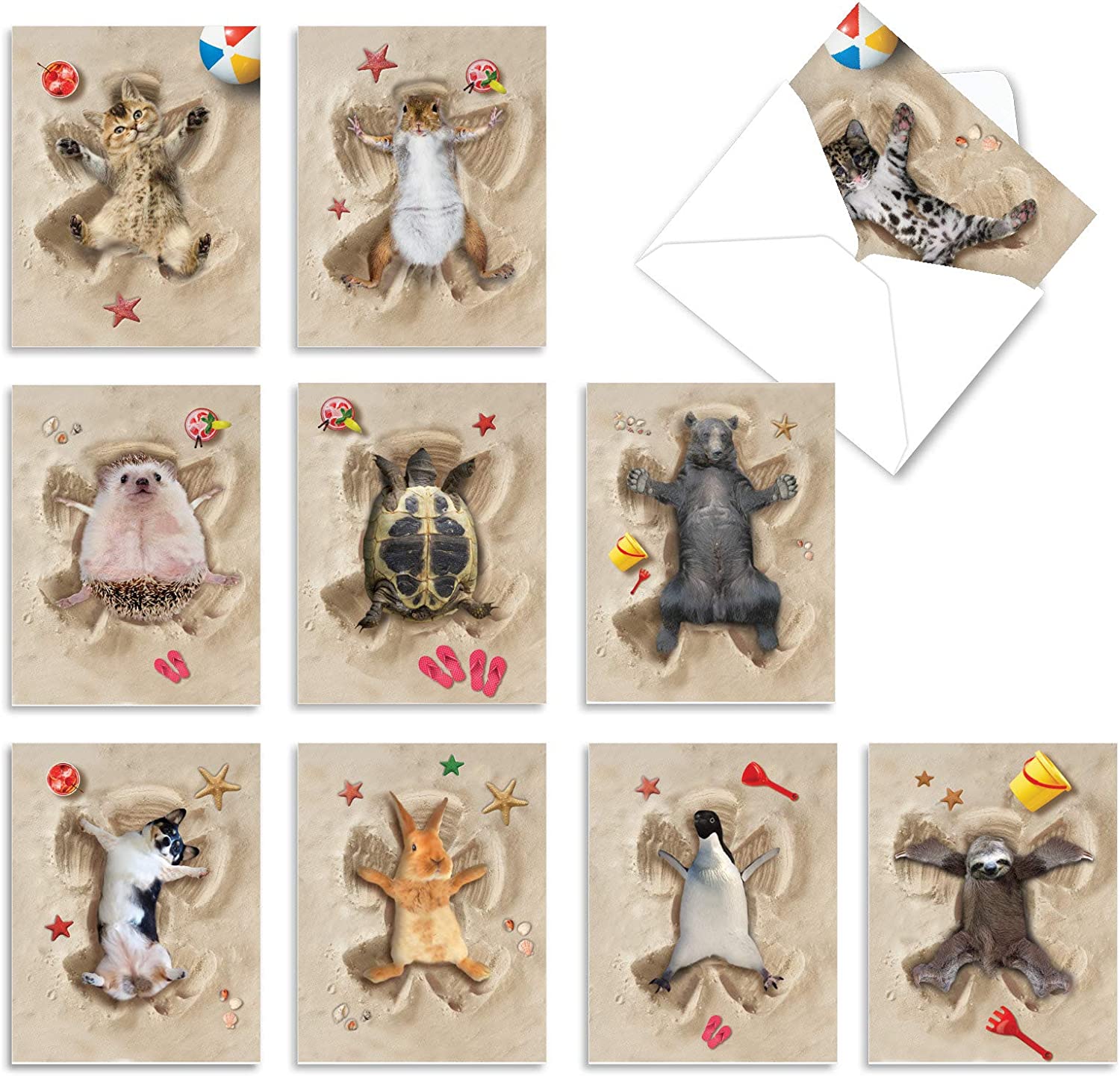230527225422153_1 The Best Card Company - 10 Adorable Note Cards Blank (4 x 5.12 Inch) - Wildlife and Animal Cards, Assorted Boxed Kids Set - Sand Angels AM6844OCB-B1x10 - Image 1